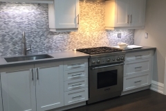 High End Kitchen Renovation